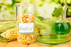 Morton Spirt biofuel availability